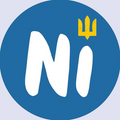 Nasha idea