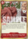 OP-12: Legacy of the Master Booster (One Piece Card Game Бустер)