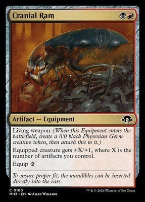 Cranial Ram, Normal