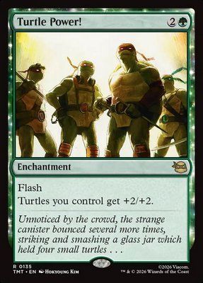 Turtle Power!, Normal