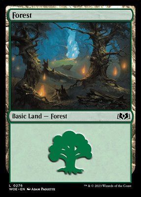 Forest, Normal