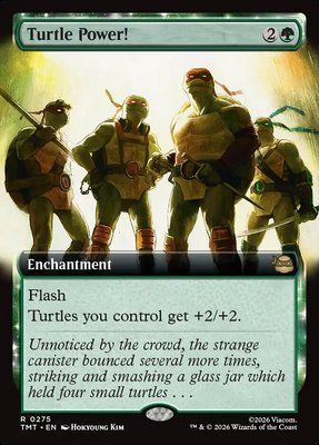 Turtle Power!, Extended