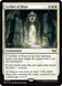 Duskmourn: House of Horror Play Booster (Magic the Gathering Ігровий Бустер)