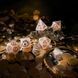 Набір кубиків Dragons Dice Set: Quartz